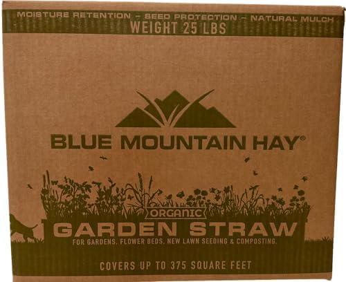 Organic Garden Straw Mulch (25 lb) - Blue Mountain Hay for Raised Beds, Landscaping & New Lawns | Natural Weed Barrier for Vegetables, Tomatoes & Grass Seed | Covers 375 sq ft | Perfect for Home Gardens, Farms & Sustainable Landscaping