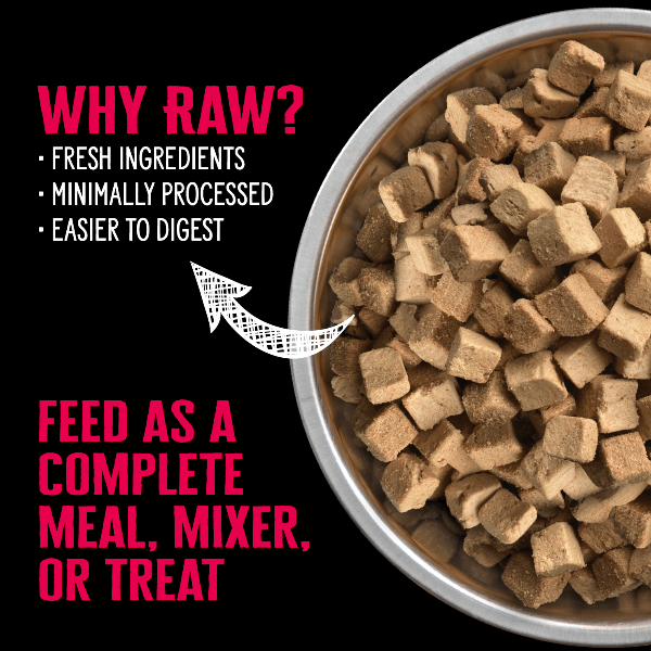 Nutrience SubZero Freeze-Dried Raw Beef & Pumpkin Dog Food - High Protein Grain-Free Recipe for Small & Large Dogs - Perfect for Training Treats, Meal Toppers & Outdoor Adventures
