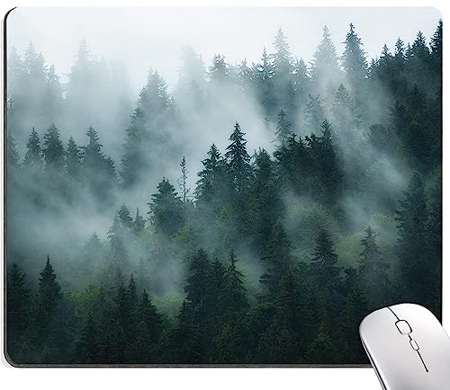 22 Fog Forest
