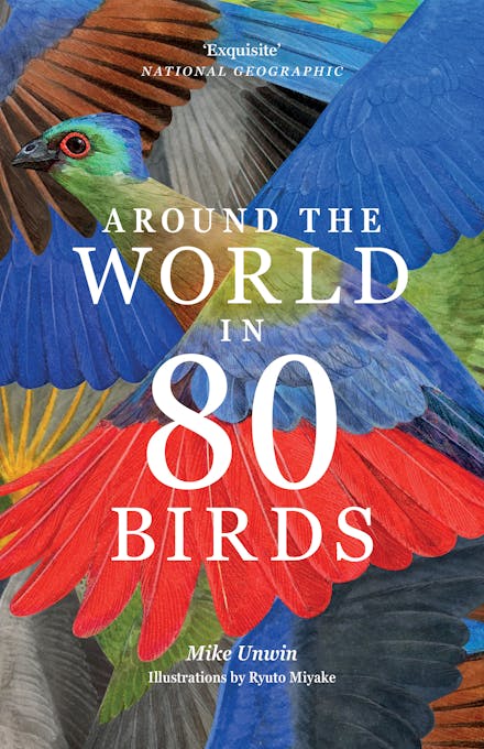 80 Exotic Birds Around the World - Beautiful Bird Photography Book for Nature Lovers & Travel Enthusiasts | Perfect Gift for Birdwatchers, Home Decor & Coffee Table Display