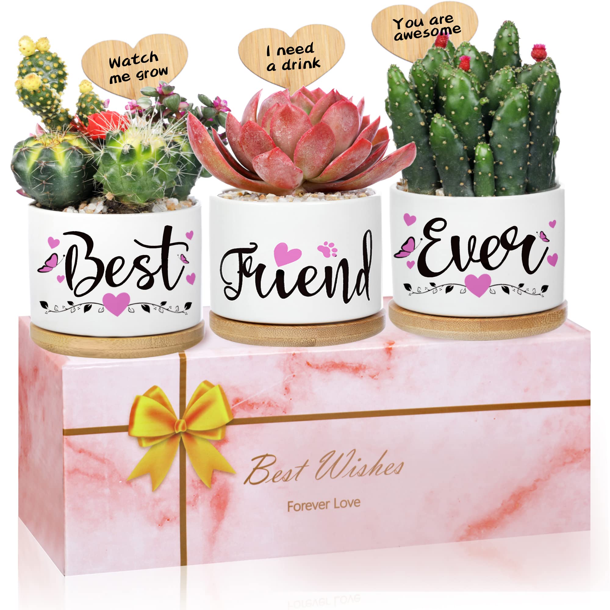 Goartgif Best Friend Birthday Gifts for BFF - Cute Friendship Pot Set with Beautiful Gift Box, Unique Women's Birthday & Friendship Gifts for Her - Perfect for BFF Surprises, Housewarming & Special Occasions