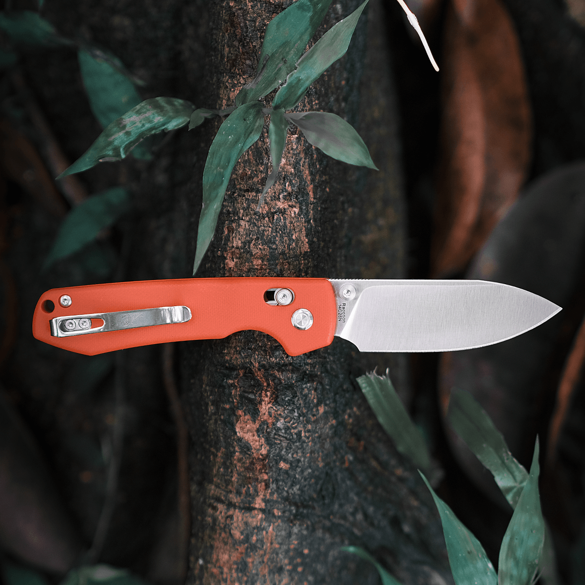 Raccoon® Crossbar Lock Folding Knife - 3.25
