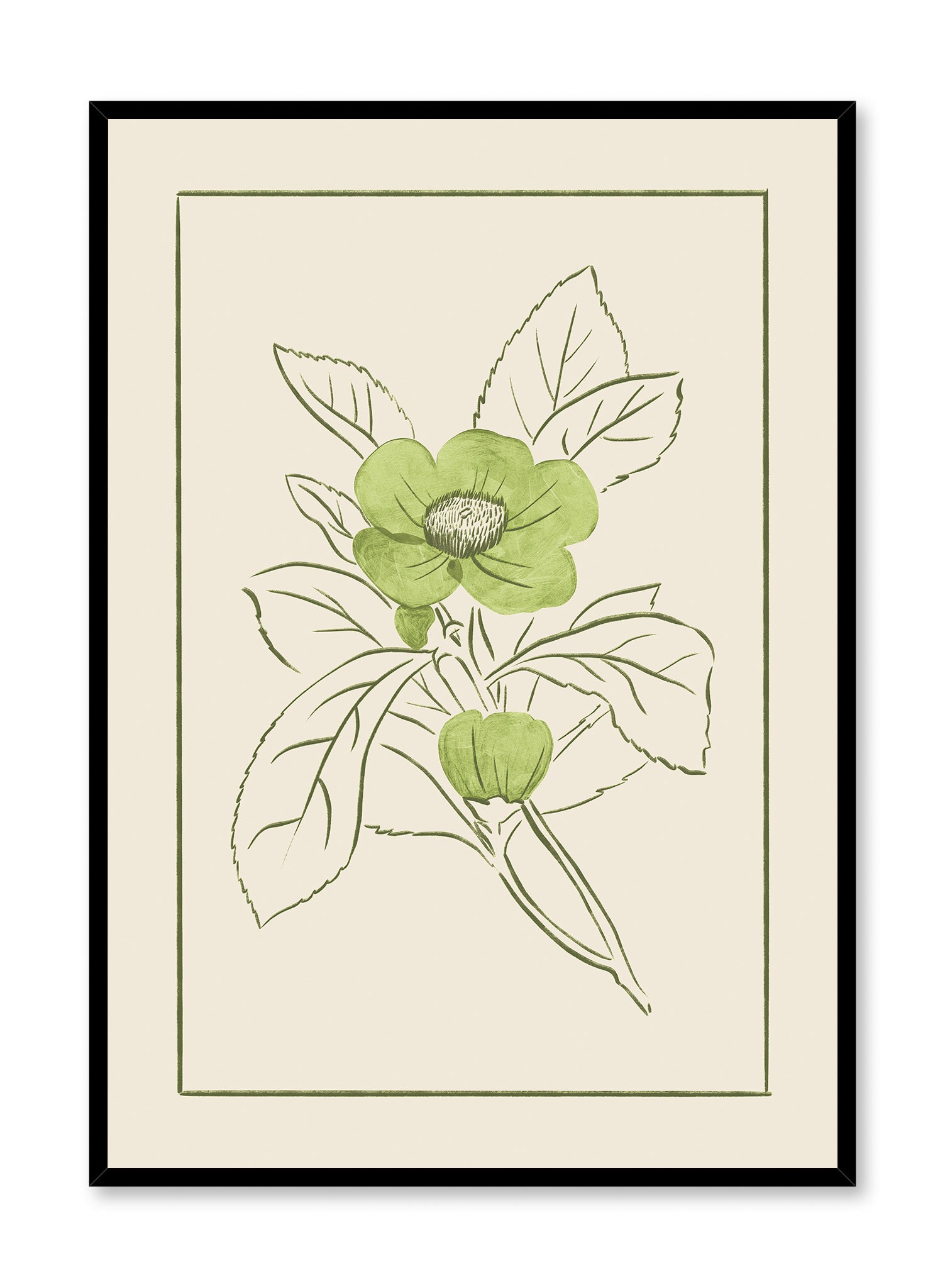 Beautiful Poppy Flower Poster - Vibrant Floral Wall Art for Home, Office & Classroom Decor