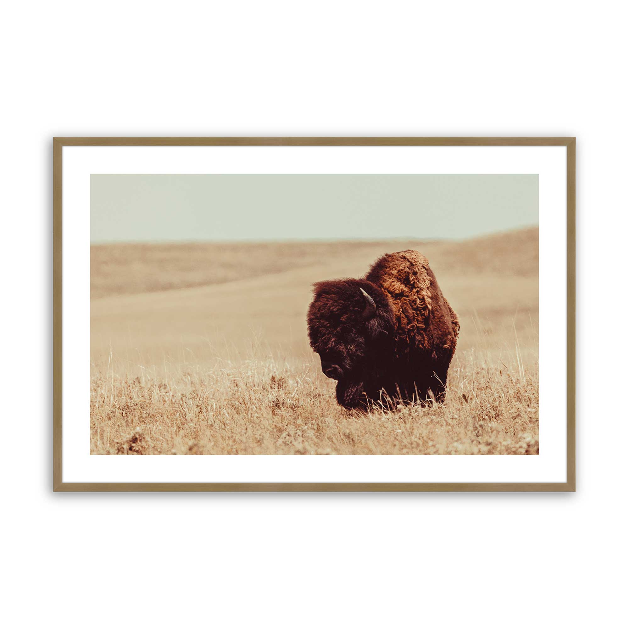 Grazing Bison Serenity Print Wall Art - Nature Inspired Bison Painting for Home & Office Decor - Perfect for Living Room, Bedroom or Cabin Decor