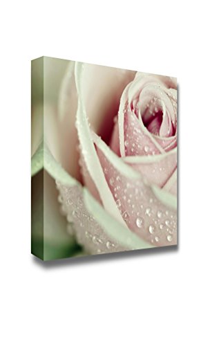 Pink Rose