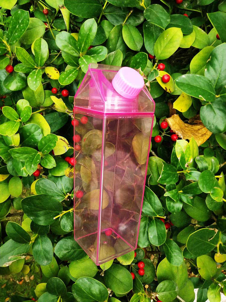 17oz (500ml) Leakproof Pink Milk Carton Water Bottle - Portable & Cute Drinkware for Outdoor Activities, Hiking, Camping & Travel - BPA Free Reusable Bottle for Kids & Adults