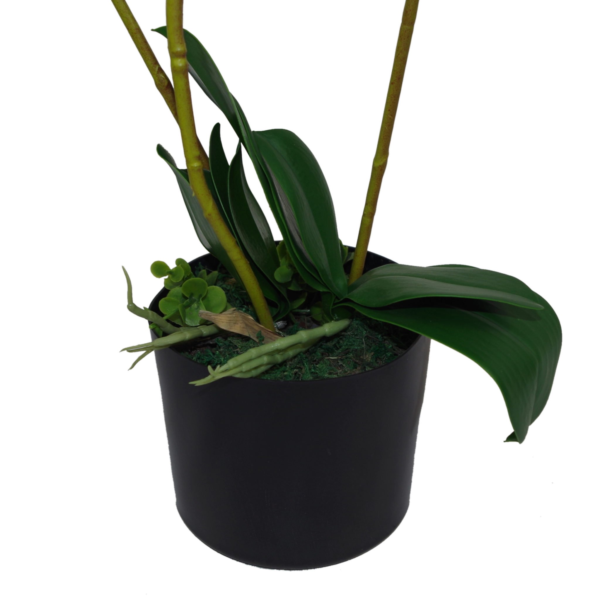 Realistic Artificial Orchid Flower in Pot - White Fake Orchid Plant Decor (65cm) - Home Office Wedding Hotel Decoration