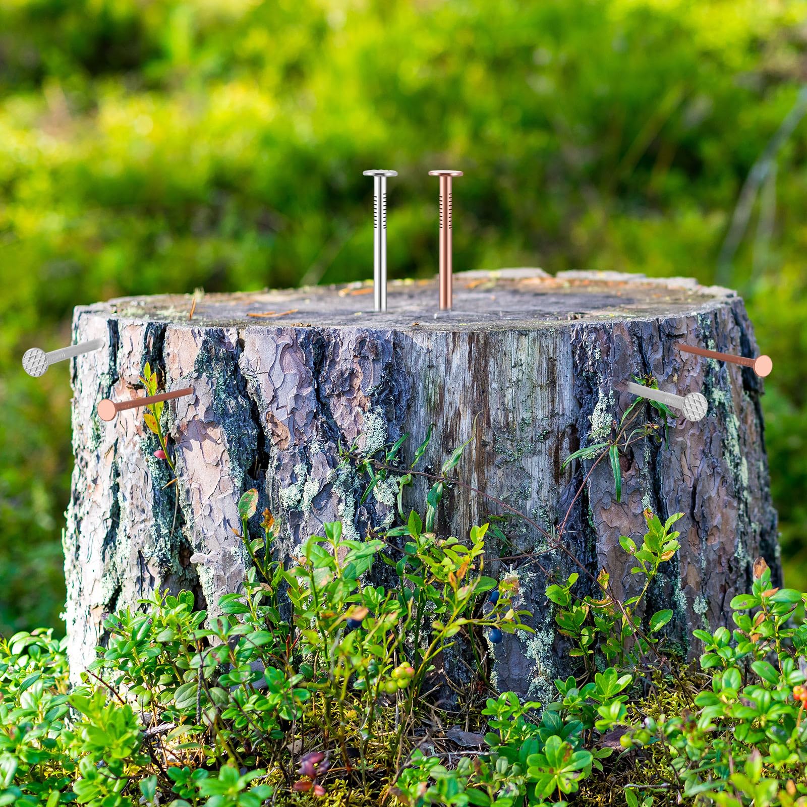 Gisafai 29 Pcs Tree Stump Killer Kit - 24 Copper Nails (4.92 Inch), 2 Steel Nails, 2 Drill Nails & Storage Box - Effective Stump Removal Spikes for Tree Stumps, Landscaping & Yard Maintenance - Perfect for DIY Tree Removal and Garden Care