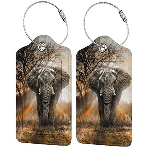 Elephant Sunset