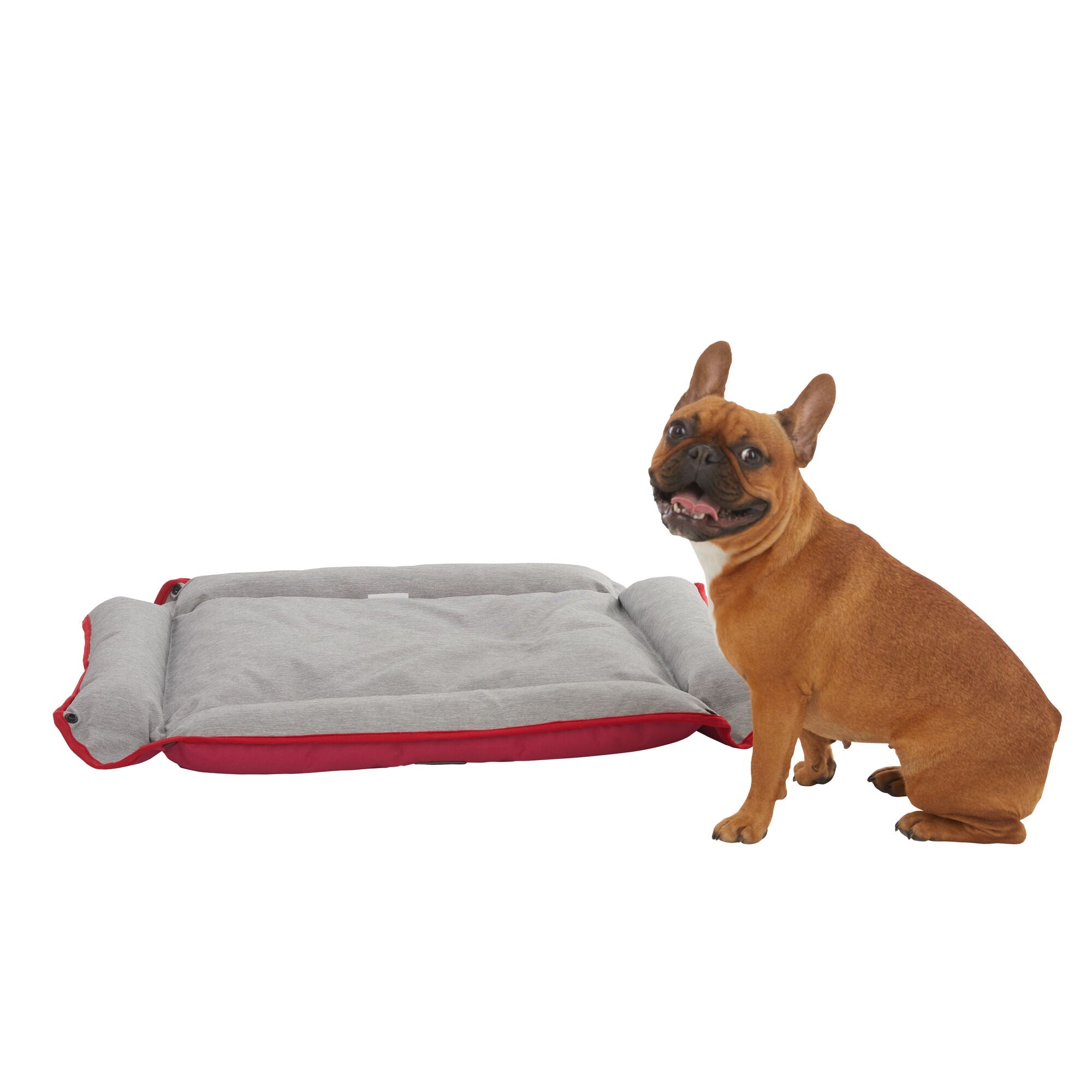 Large Dog Bed 28x24x3 Inches - 4-Sided Orthopedic Pet Bed for Big Dogs, Soft & Washable Red Cushion - Perfect for Living Room, Bedroom or Kennel