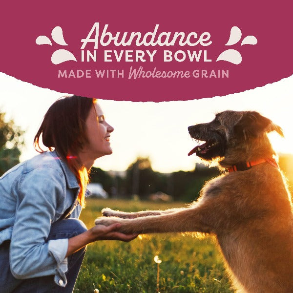 Natural Balance Fat Dogs Chicken & Salmon Recipe in Broth Canned Dog Food - High Protein, Grain-Free Wet Food for Overweight Dogs - Perfect for Weight Management & Mealtime Hydration