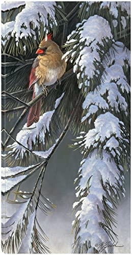 Winter Light 2