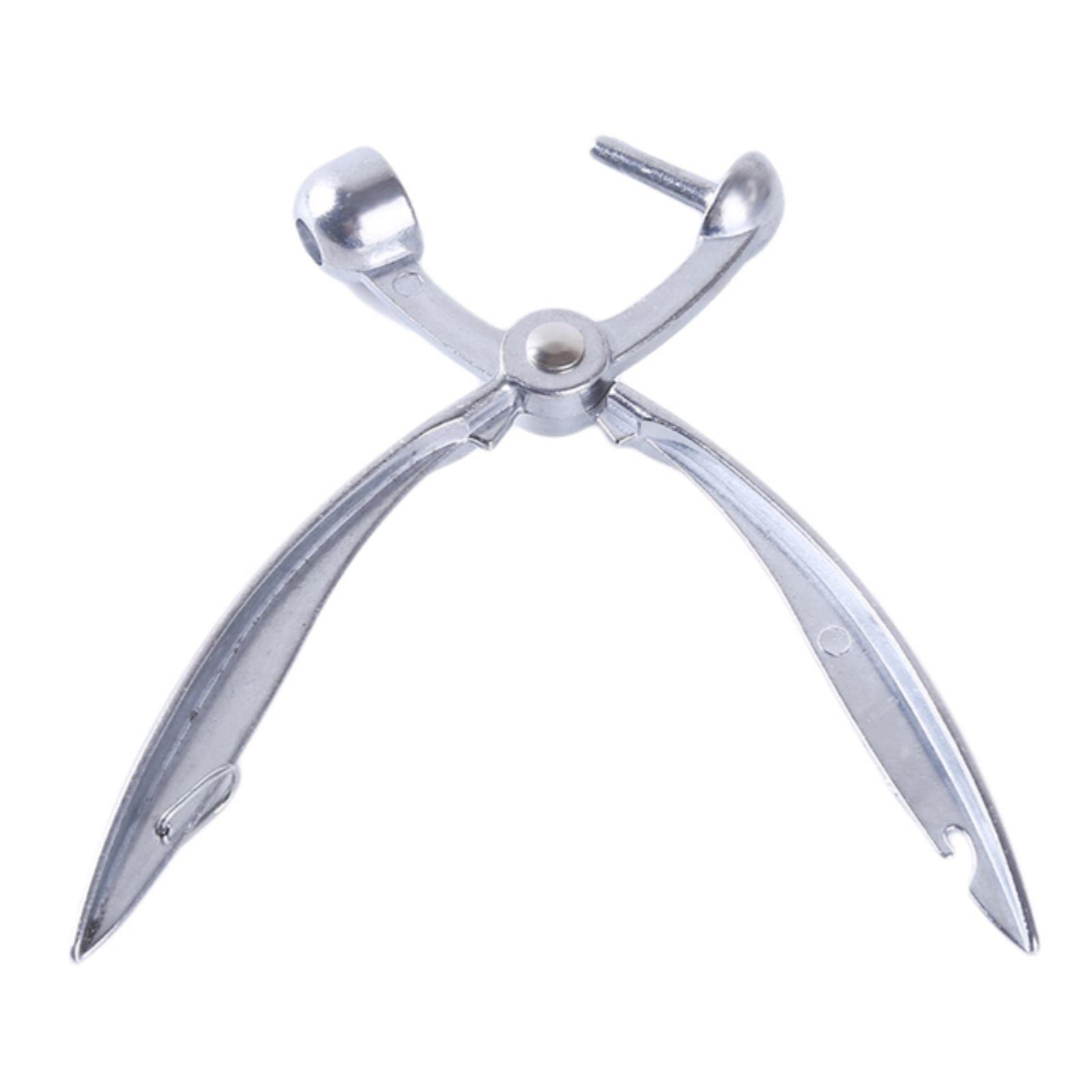 Easy-to-Use Cherry & Olive Pitter Tool - Stainless Steel Fruit Core Remover for Jujube, Plums & More | Perfect for Home Kitchen, Baking & Canning Accessories