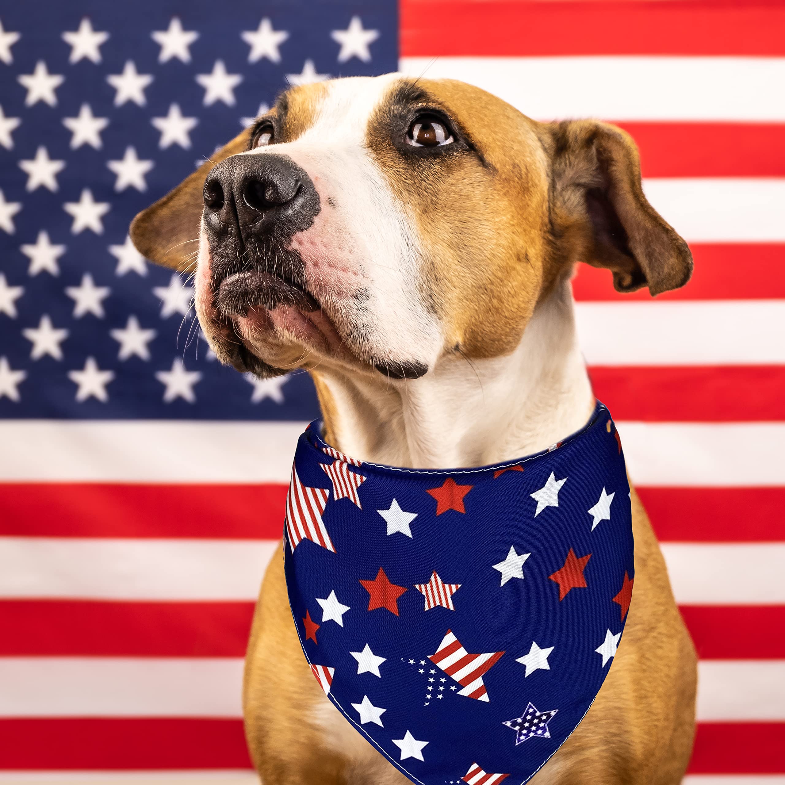 Pohshido 2 Pack Patriotic Dog Bandanas - 4th of July American Flag Pet Bandana for Small Medium Large Dogs & Cats (Freedom Stars/Old Glory) - Perfect for Independence Day Celebrations, Parades & Pet Photo Shoots