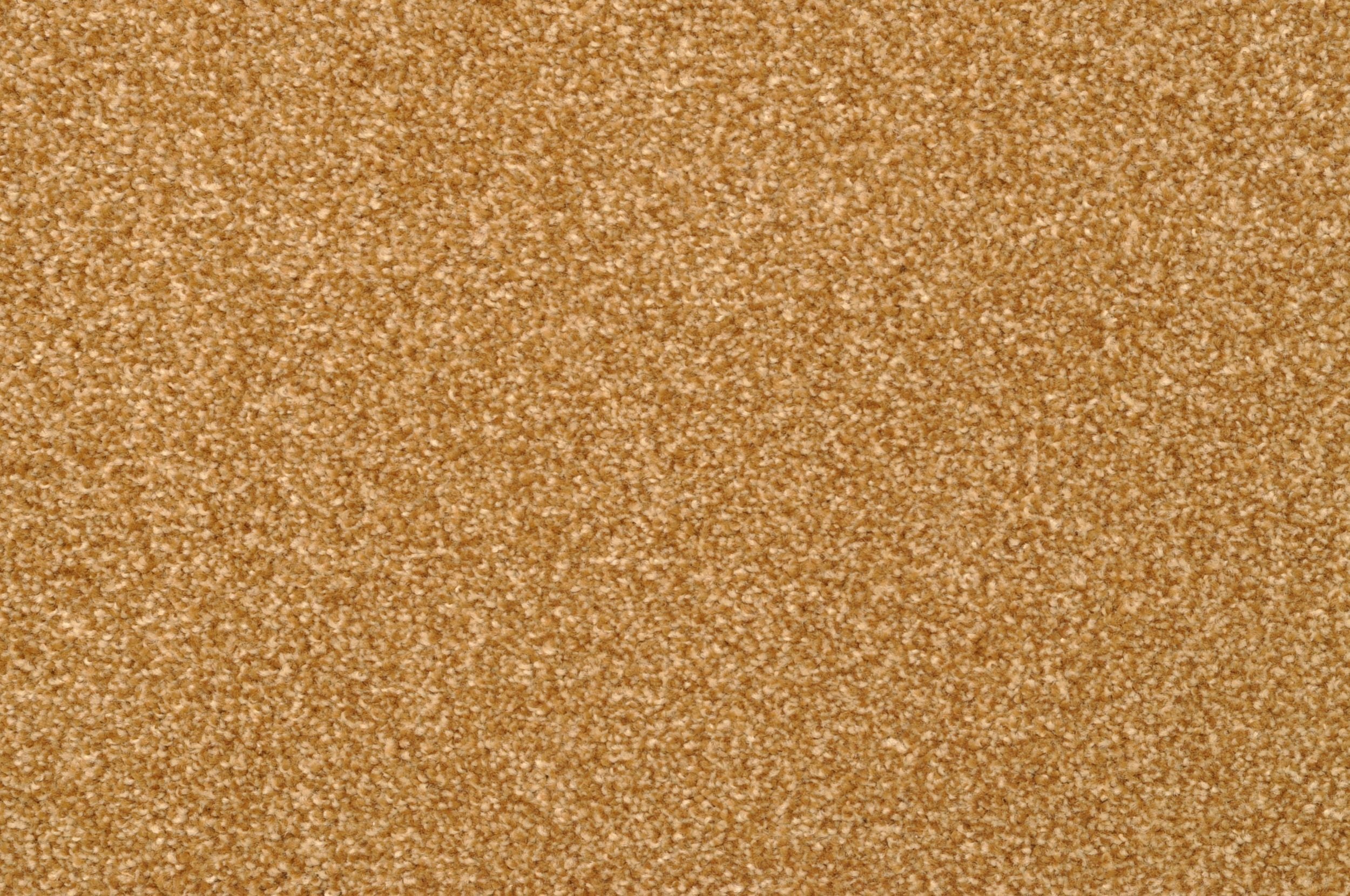 Bithia - Premium Quality Product for Your Everyday Needs | Perfect for Home, Office & Travel Use