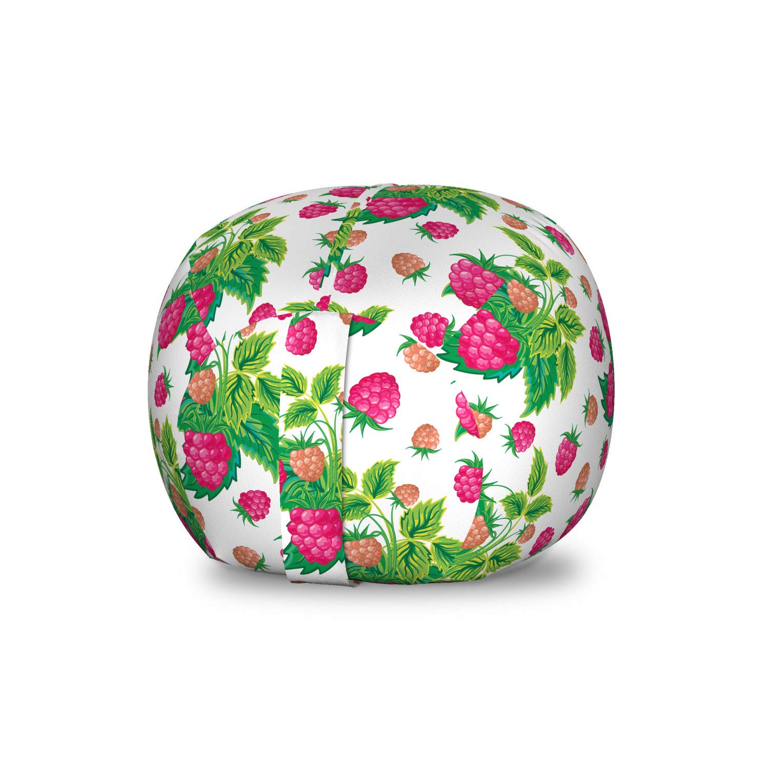 Ambesonne Fruit Storage Toy Bag Chair - Spring Botanical Art Raspberries with Green Leaves, Stuffed Animal Organizer Washable Small Bag in Green & Magenta | Kids Room Decor, Playroom Storage, Nursery Organization