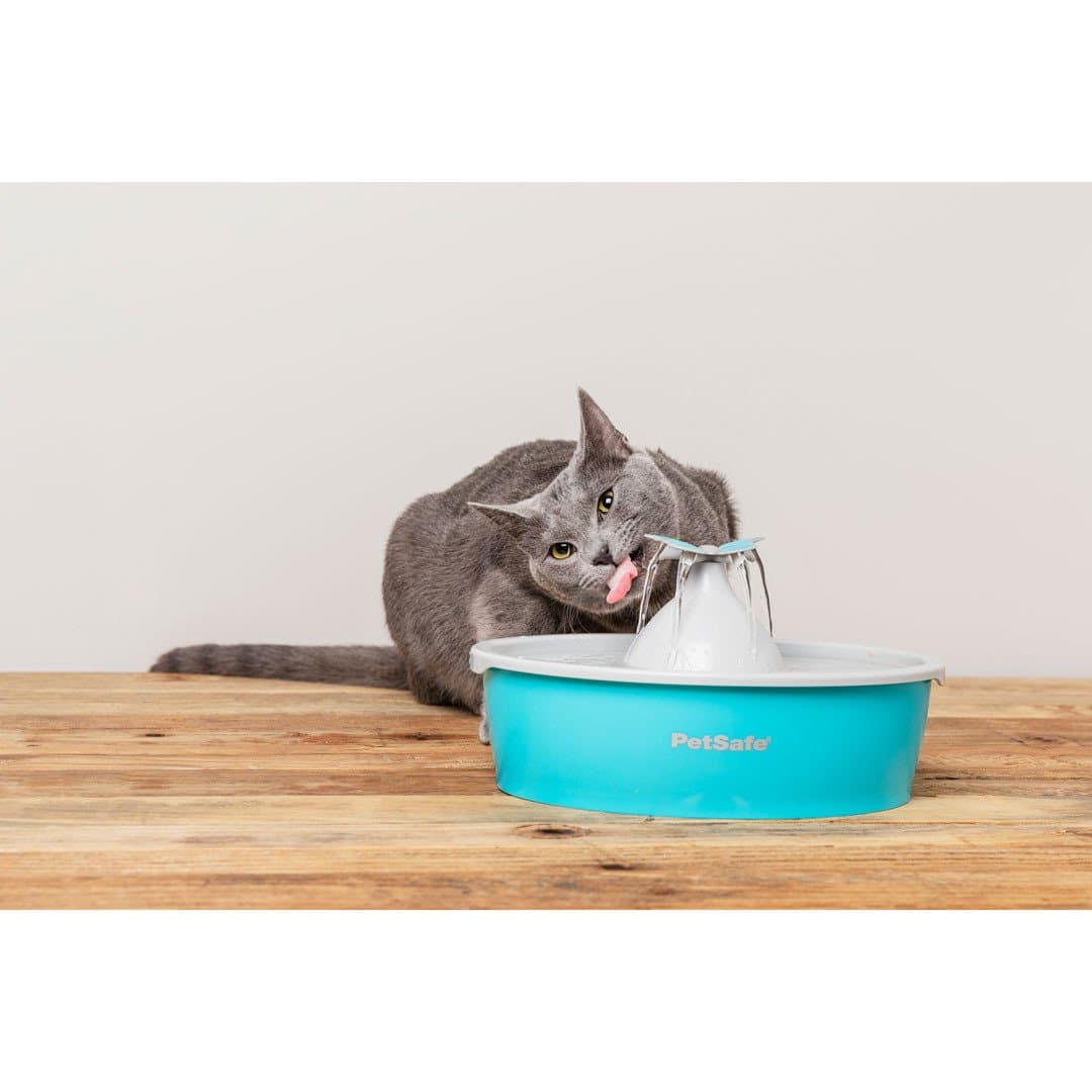 **Drinkwell Butterfly Pet Fountain - Automatic Dog Water Fountain for Fresh, Flowing Water - Perfect for Cats & Dogs at Home or Office**