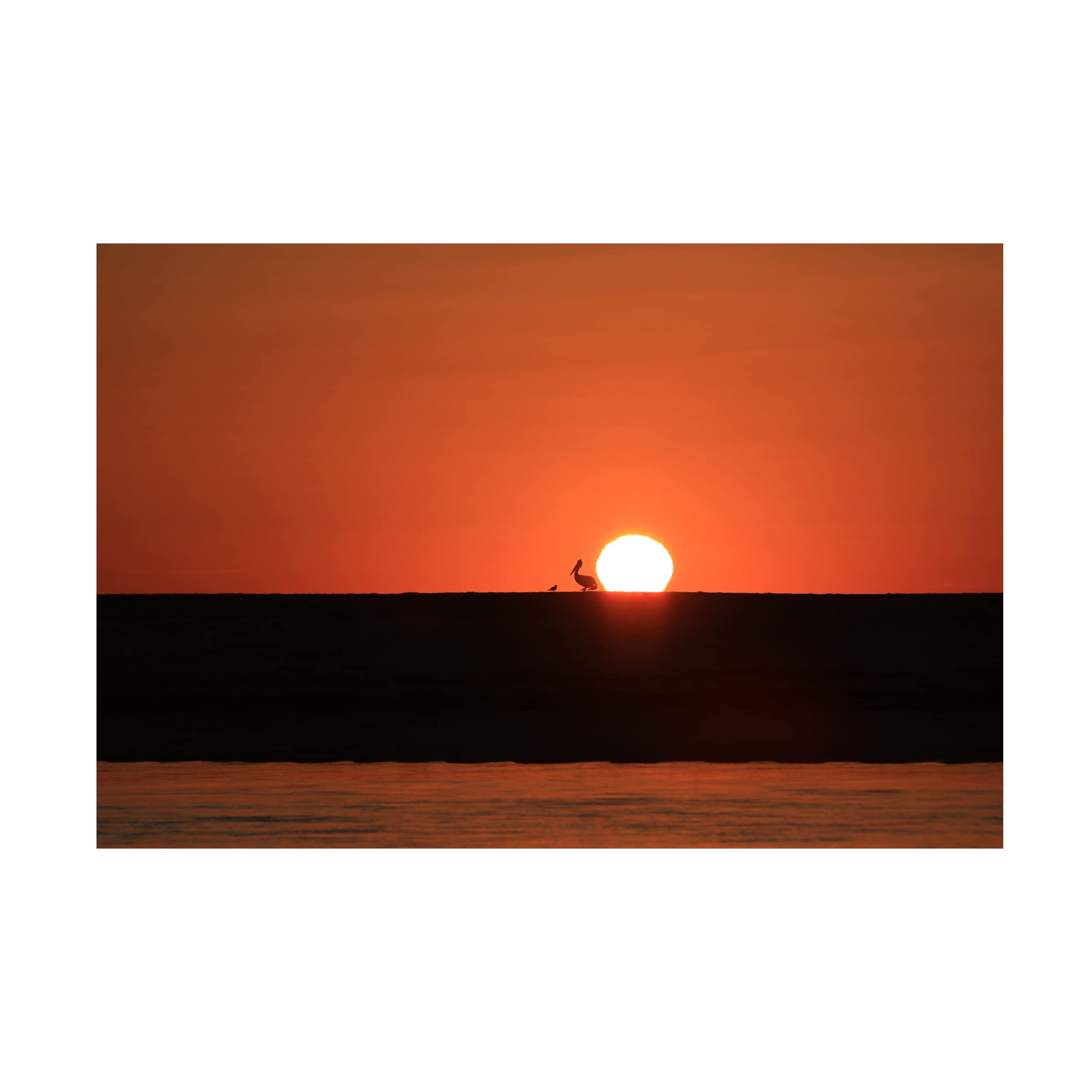 Trademark Fine Art 'Sunrise Conversations' Canvas Wall Art by Beata Czyzowska - Modern Abstract Painting for Living Room, Bedroom & Office Decor