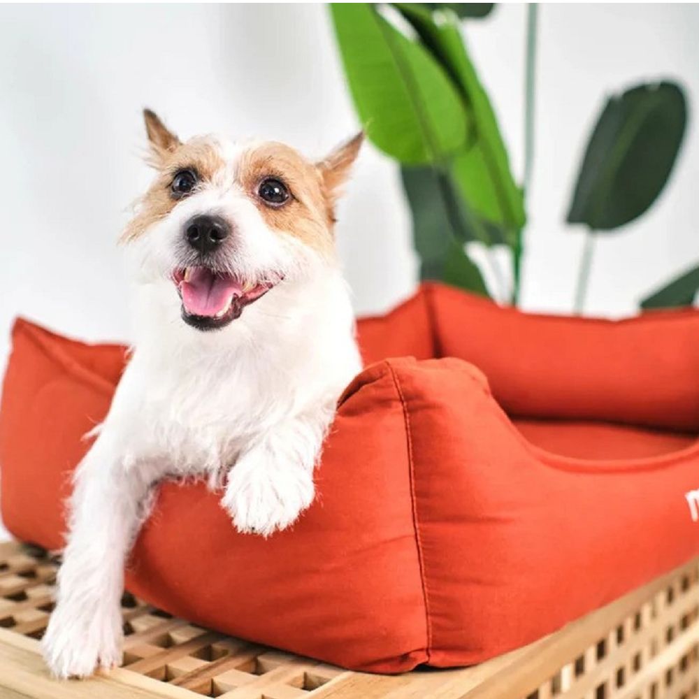 Premium Cotton Latex Pet Bed - Ultra Soft & Durable Dog & Cat Bed for Small to Large Breeds - Perfect for Indoor Use, Crate Training & Cozy Napping Spots