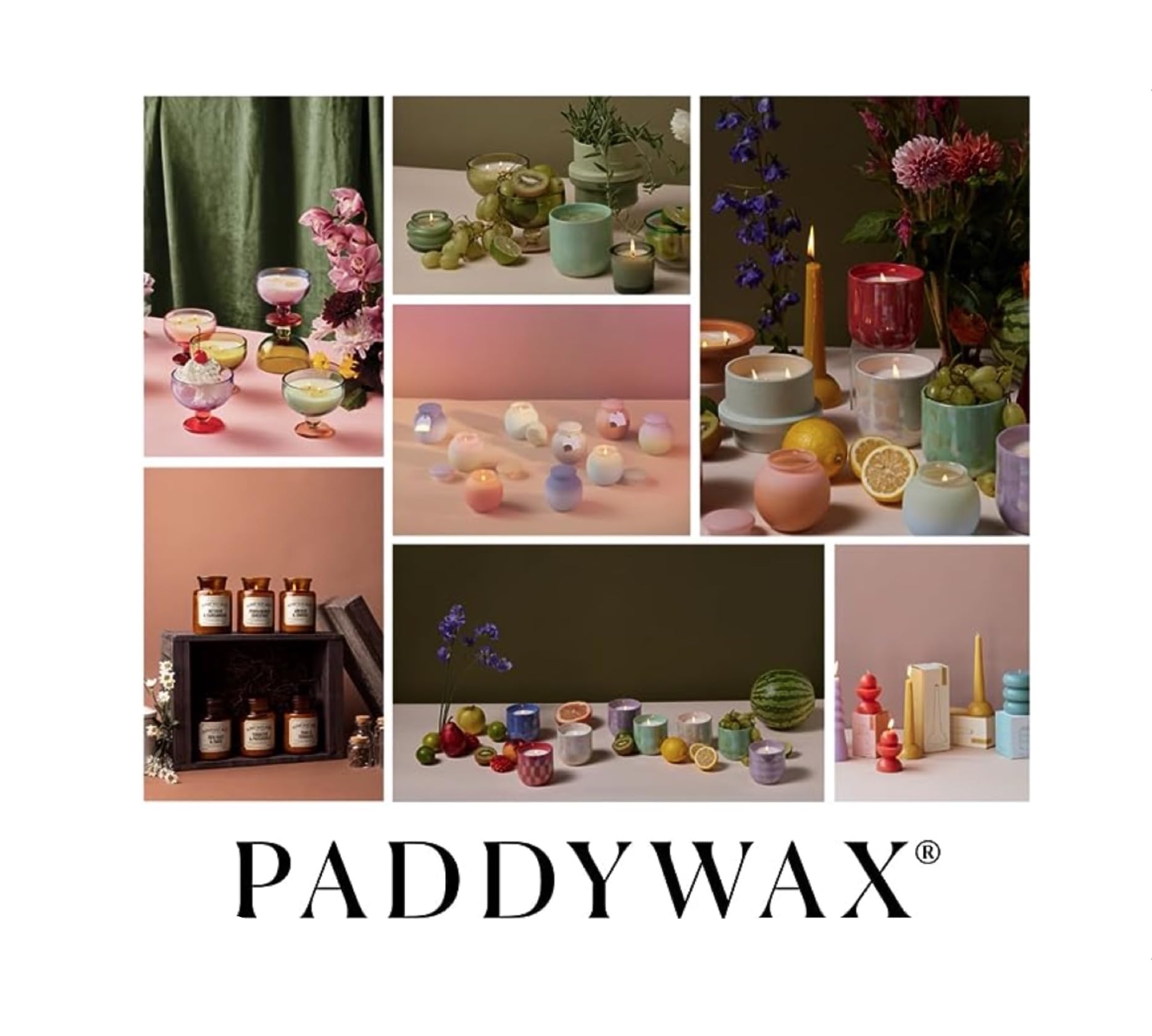 Paddywax Coastal La Playa Scented Candle - 9oz Hand-Blown Glass Artisan Candle with Cactus Flower & Bamboo Fragrance | Aromatherapy, Home Decor, Relaxation Gift for Beach House & Spa
