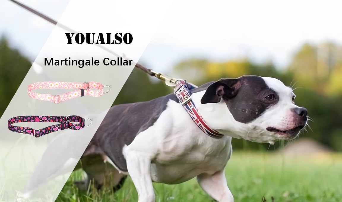 Martingale Dog Collar - No-Slip Escape Proof Choke Free Training Collar for Small Medium Large Dogs | Adjustable Soft Nylon Pet Collar with Evil Eye Design | Perfect for Walking, Training & Outdoor Adventures