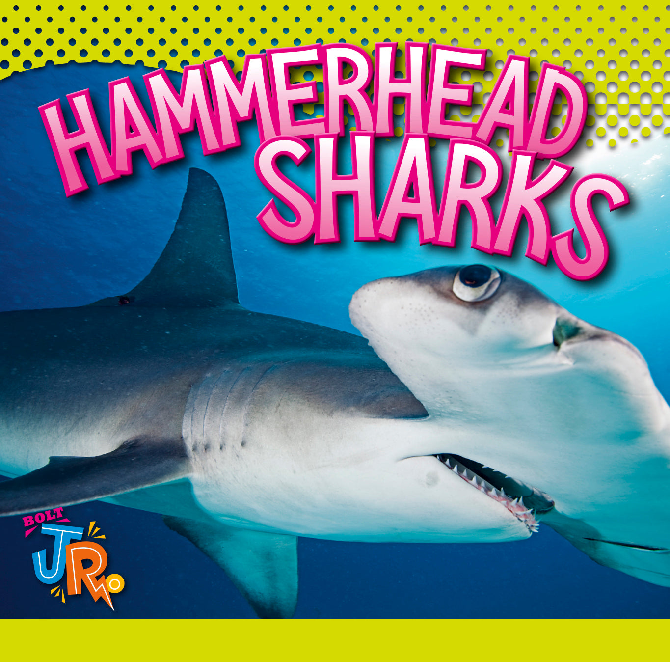 Hammerhead Shark Figurine - Realistic Ocean Animal Toy for Kids & Collectors | Perfect for Educational Play, Aquarium Decor & Gift Giving