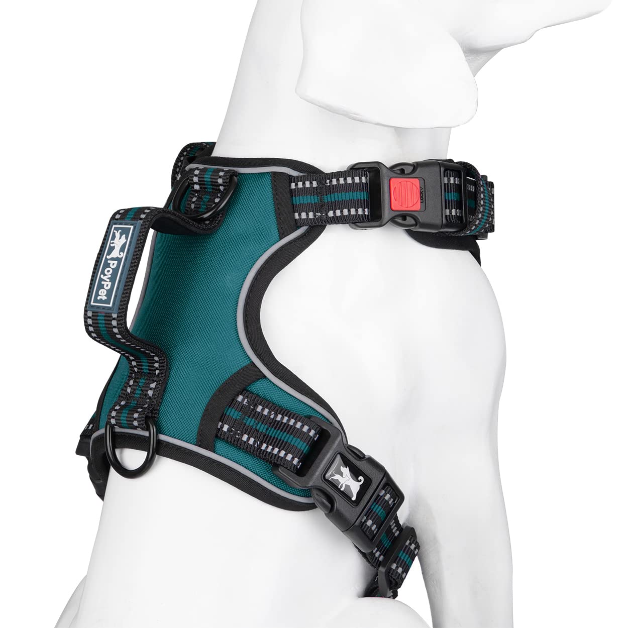 PoyPet No Pull Dog Harness - Front Clip Reflective Vest with Soft Padded Handle & 3 Leash Attachments for Small Medium Large Dogs (Tumalo Teal, Medium) - Perfect for Walking, Training & Nighttime Safety