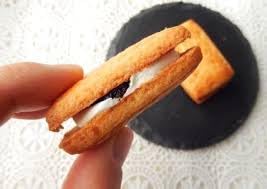 Bourbon Ninjapo Gateau Raisins 3.0oz (3 Pack) - Japanese Soft Sandwich Cookies - Perfect for Snacking, Gifts & Tea Time
