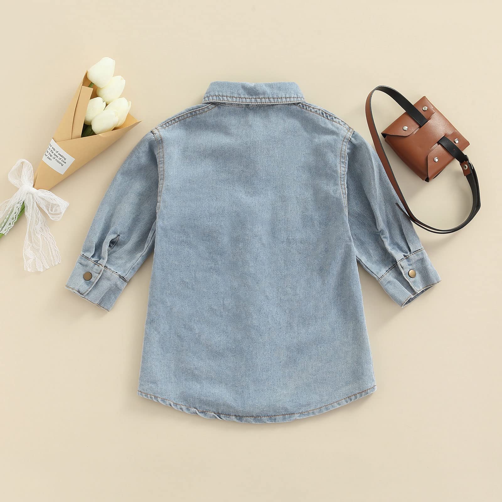 Little Girl Long Sleeve Denim Dress with Lapel Snap Placket - Casual Jean Dresses for Spring Summer Autumn - Perfect for Playdates, School & Family Outings