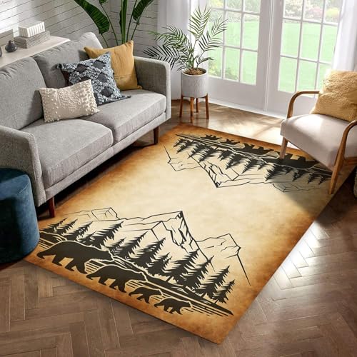 Rustic Area Rug 6