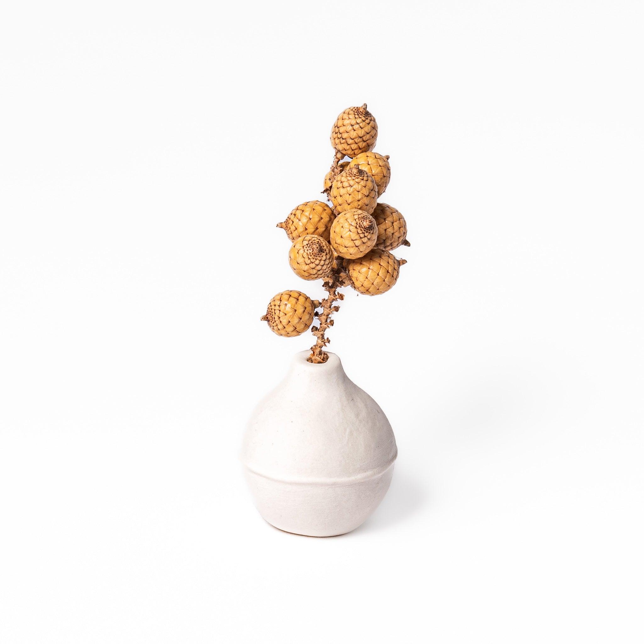 Minimalist Ceramic Bud Vase - Small White Flower Vase for Home Decor, Wedding Centerpieces & Tabletop Arrangements