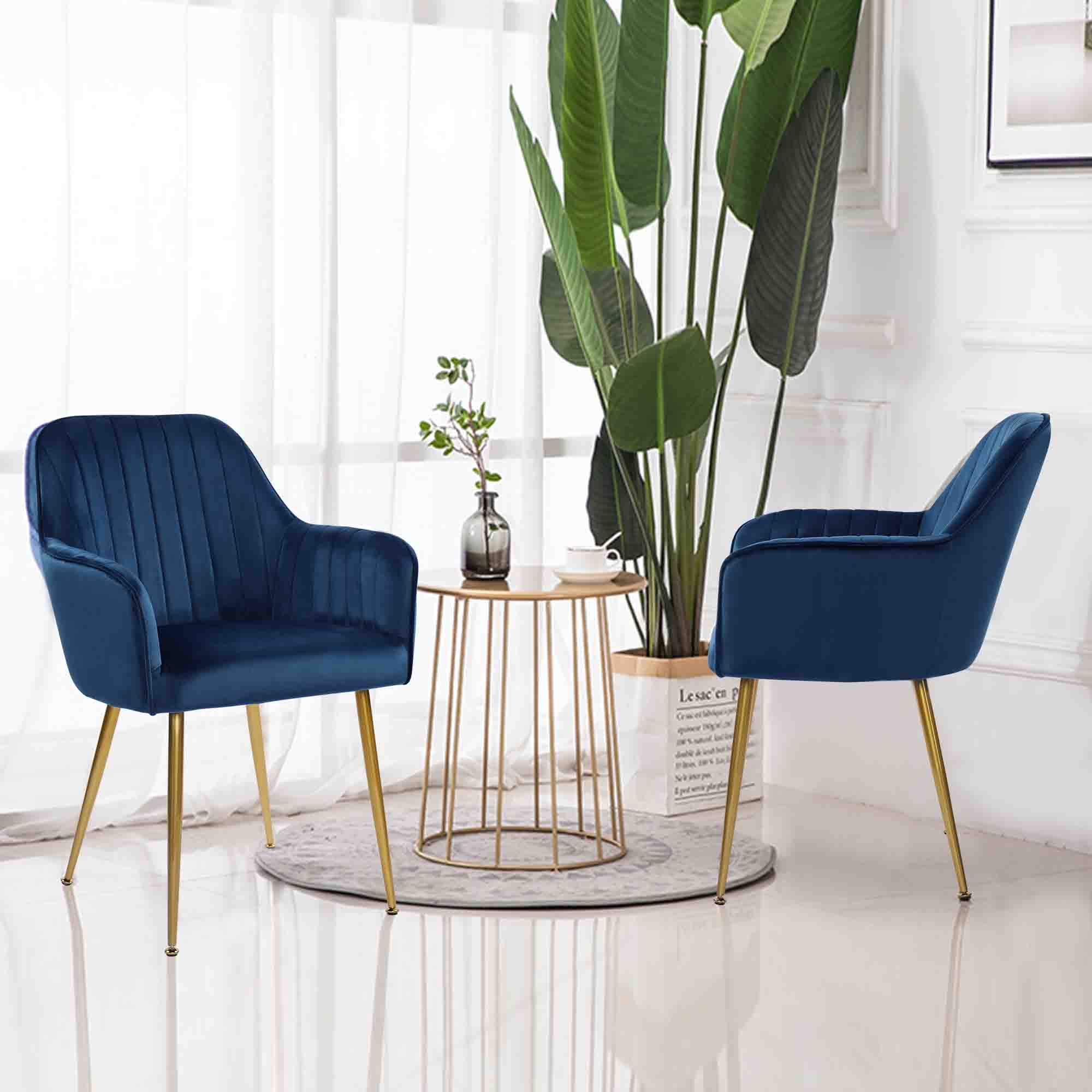 Set of 2 Velvet Upholstered Dining Chairs with Gold Metal Legs - Luxurious Accent Chairs for Living Room, Bedroom or Dining Area (Blue) - Perfect for Home Decor, Entertaining Guests & Cozy Seating