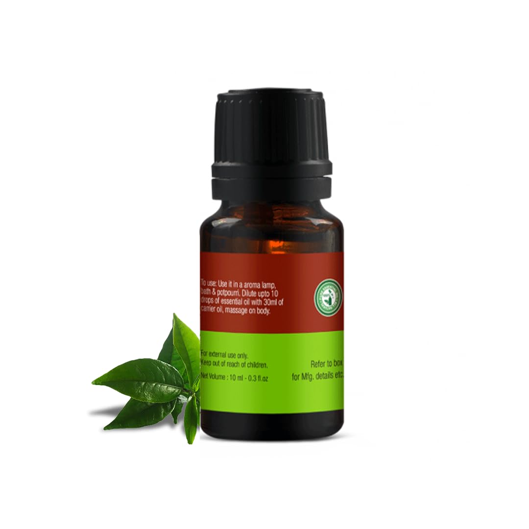 Inveda Pure Tea Tree Essential Oil for Acne-Prone Skin | Anti-Acne Treatment with Natural Tea Tree Extract | Reduces Pimples, Calms Skin & Fades Scars | 10ml Bottle | Perfect for Facial Care, Aromatherapy & DIY Skincare