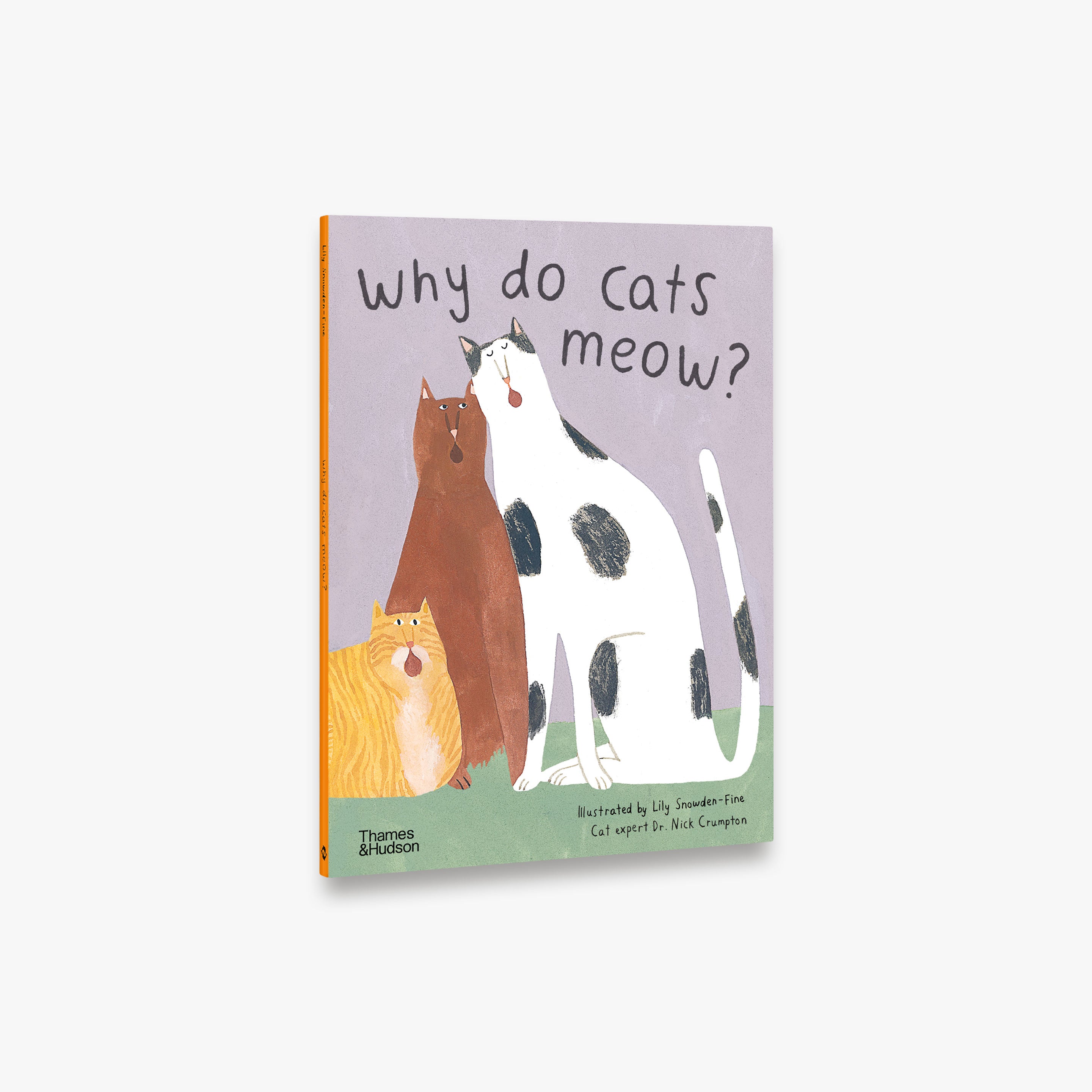 Why Do Cats Meow? Understanding Cat Behavior & Communication | Pet Care Guide for Cat Owners