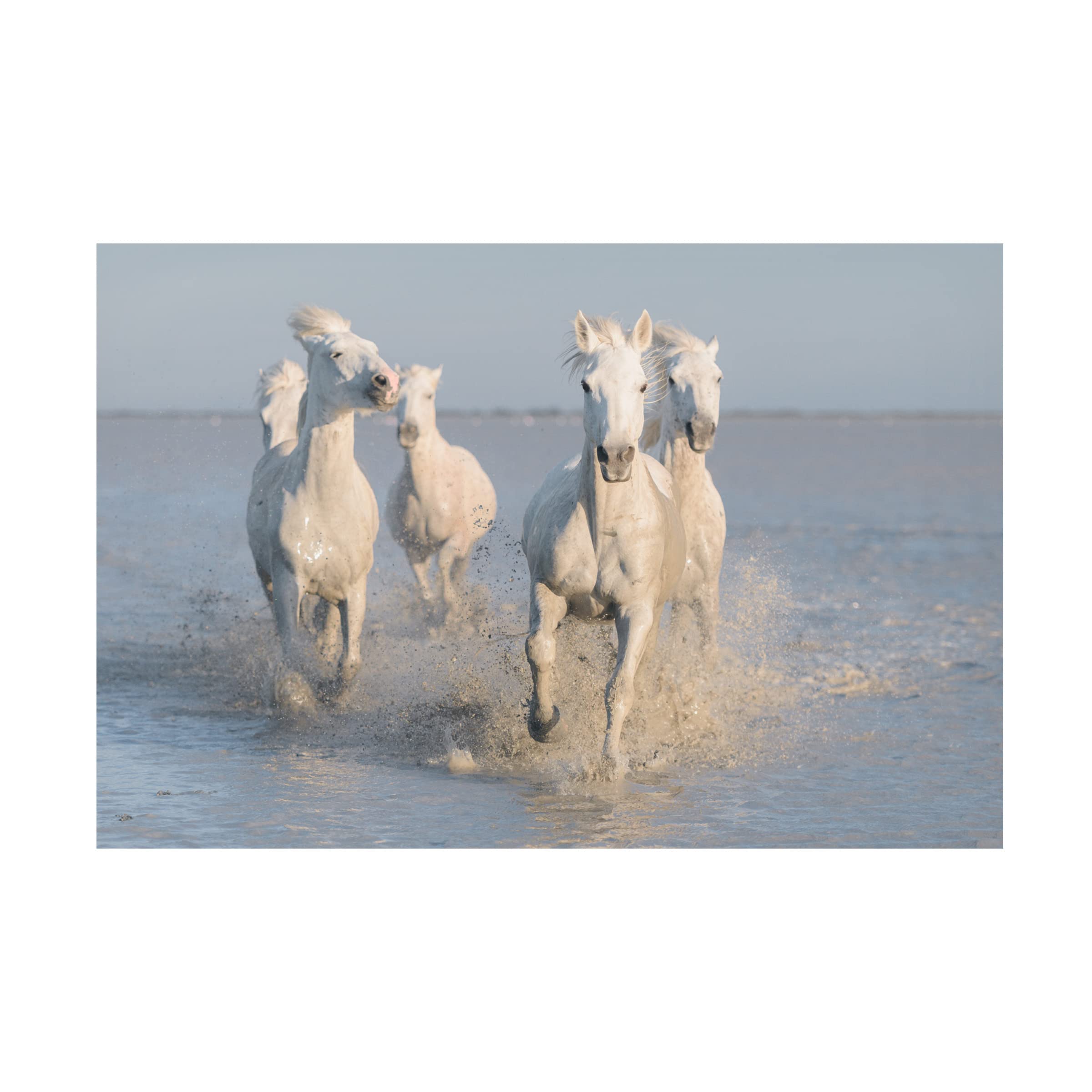 Trademark Fine Art 'Horses' Canvas Painting by Rostovskiy Anton - Elegant Equestrian Wall Decor for Living Room, Bedroom & Office