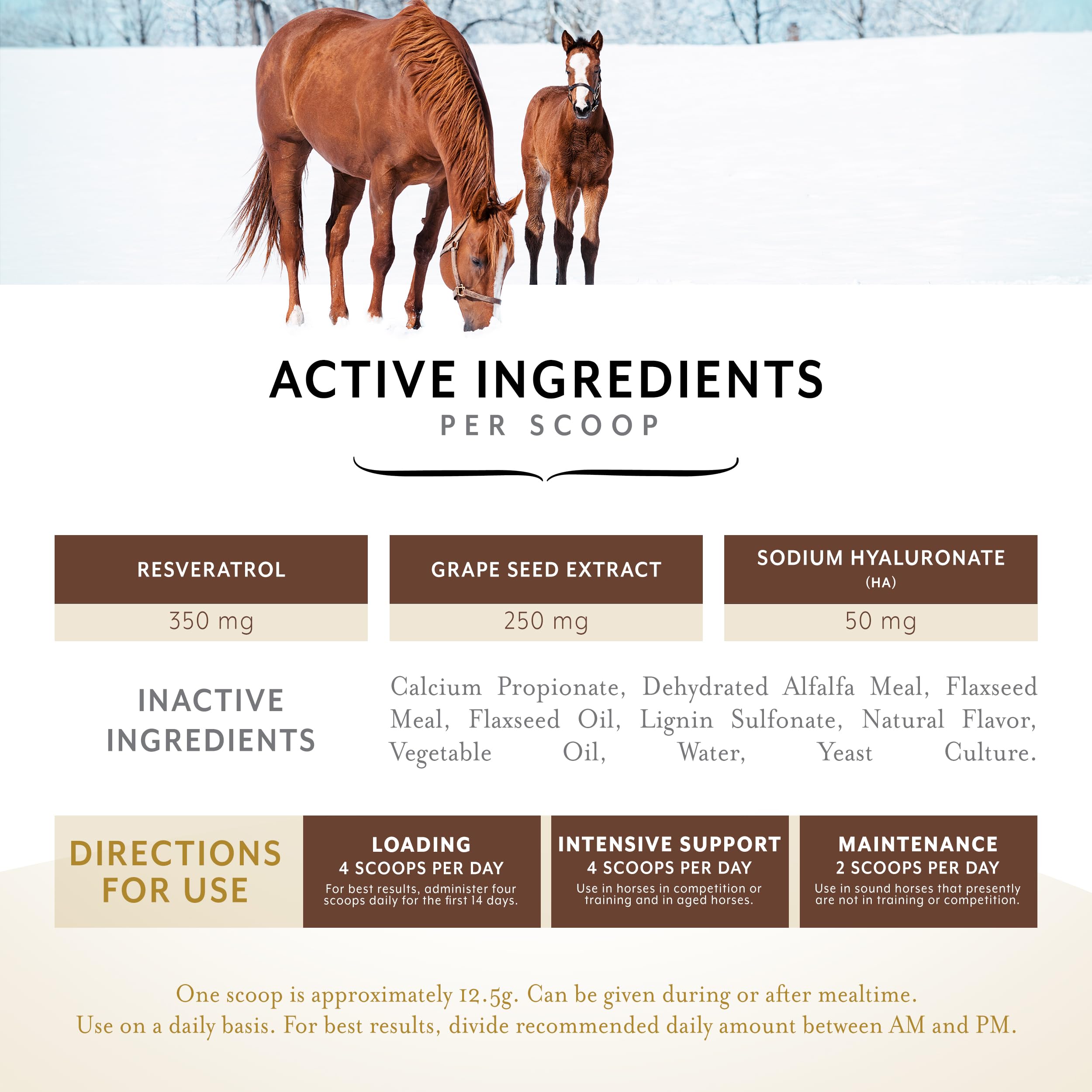 Equithrive Original Joint Supplement for Horses - Resveratrol & Hyaluronic Acid Pellets - Supports Joint Health for Performance, Training & Senior Horses - 3.3 lb Bag - Ideal for Competition Prep & Daily Equine Care