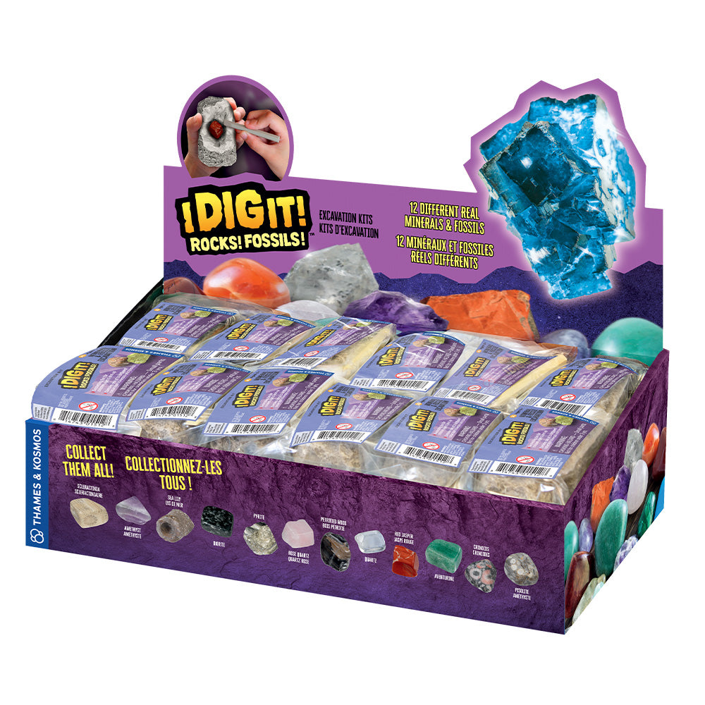 I Dig It! Rocks & Fossils - 24 Piece Mini Excavation Kit with 2L Storage | STEM Educational Toy for Kids, Geology Science Activity Set for Classroom & Birthday Gifts