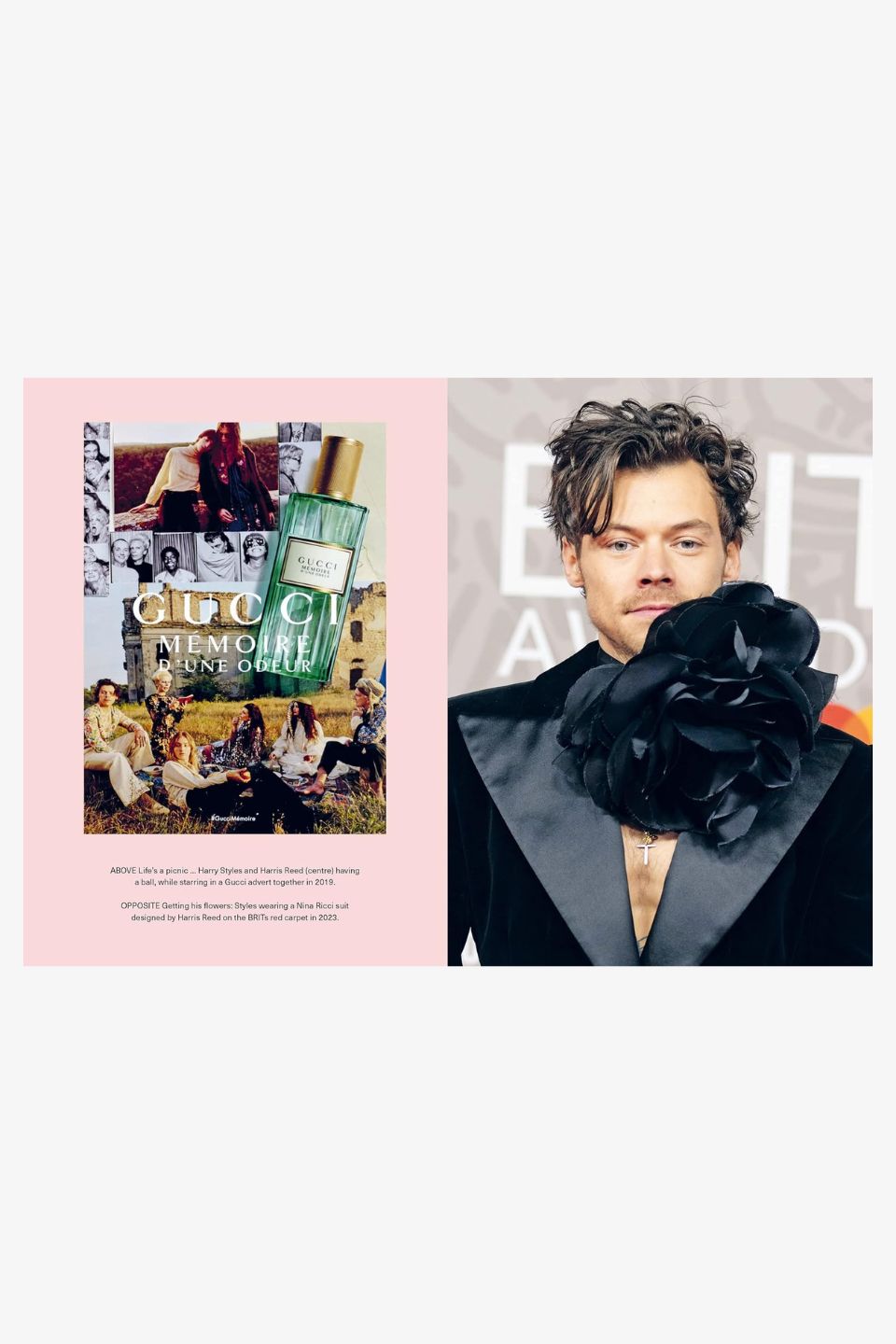 Harry Styles Merchandise - Official T-Shirts, Hoodies & Accessories for Fans | Perfect for Concerts, Gifting & Everyday Wear