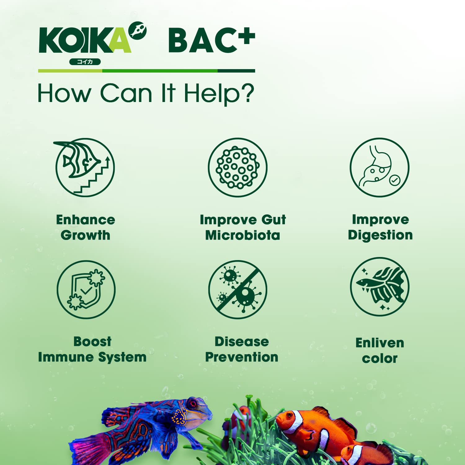 KOIKA BAC+ Powder Probiotics for Gut Health - Pleasant Smell, High Potency 50 Billion CFU, Immune System Support & Disease Resistance (2.82 oz) - Ideal for Travel, Daily Wellness & Pet Supplement