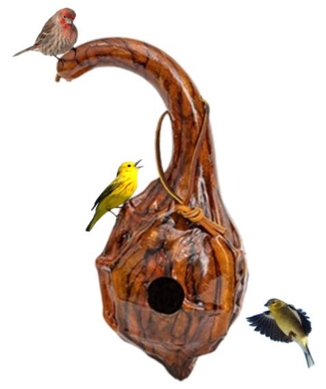 Amish Handmade MARANKA GOURD BIRDHOUSE - Natural Birdhouse in 6 Colors | USA-Made Garden Decor for Outdoor Bird Watching & Backyard Decoration