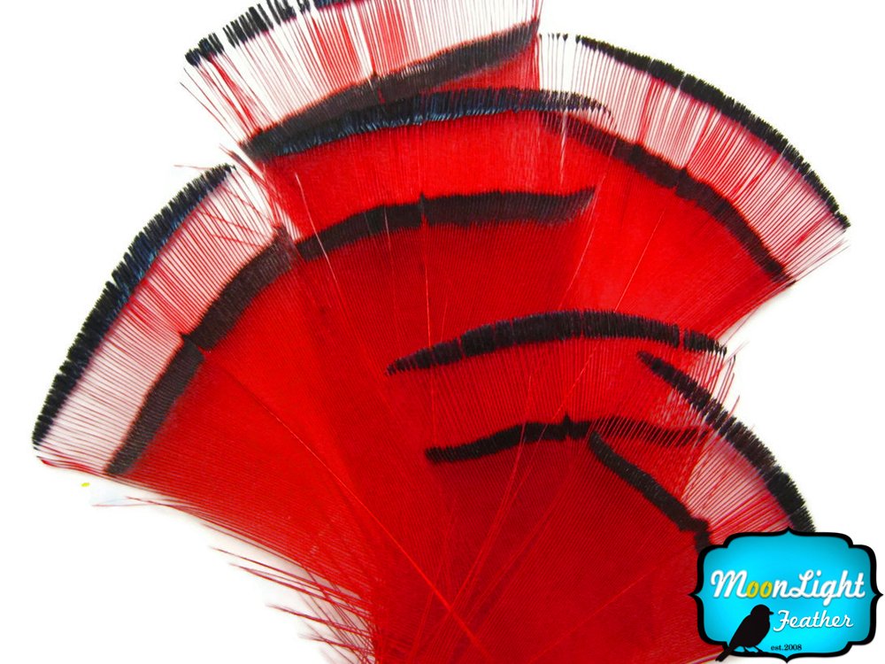 Premium Red Golden Pheasant Feathers - 12 Pack | Natural Craft Feathers for DIY, Fly Tying, Costumes & Home Decor | Perfect for Wedding Bouquets, Dreamcatchers & Bohemian Decorations