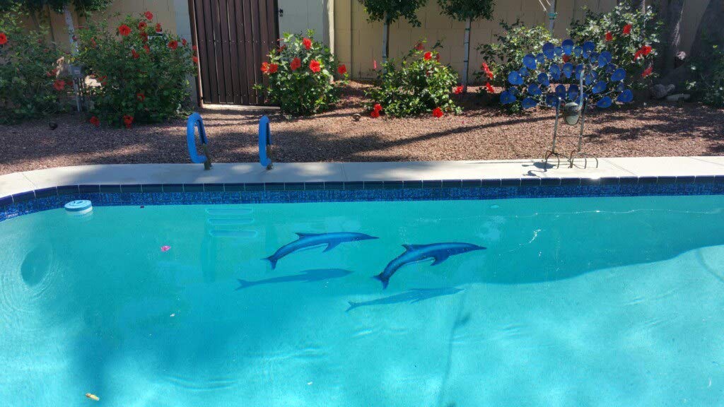 Dolphin in the Sun with Shadow - 31