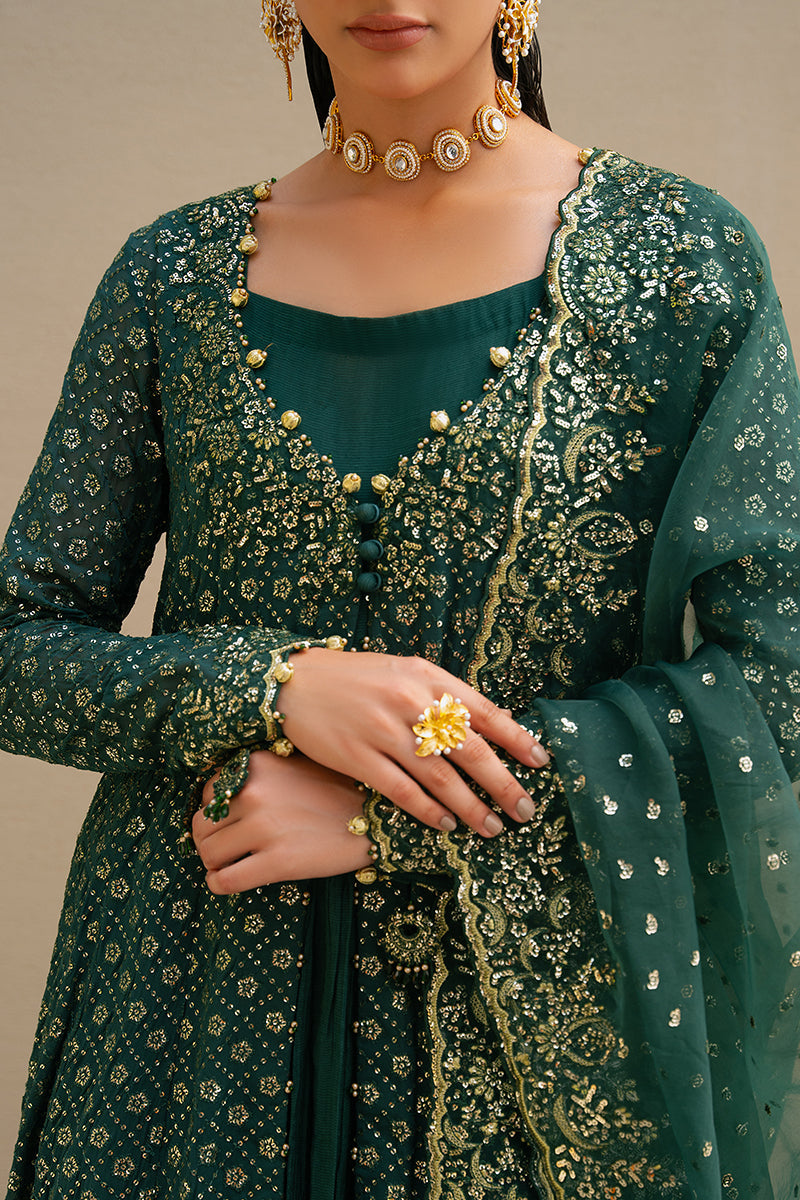 GREEN SPRING 3-Piece Chiffon Embroidered Dress Set - Elegant Floral Lace Trim Women's Outfit for Wedding, Party & Special Occasions