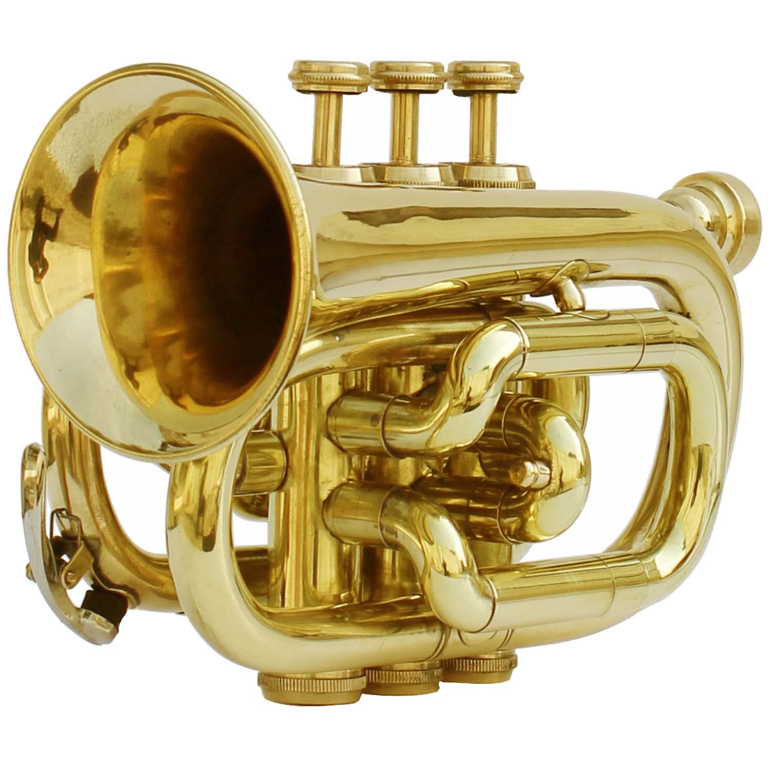 Professional Bb Pocket Trumpet Brass Instrument with Free Hard Case & Mouthpiece - Perfect for Beginners, Travel & Practice | Best Musical Gift for Students & Jazz Enthusiasts