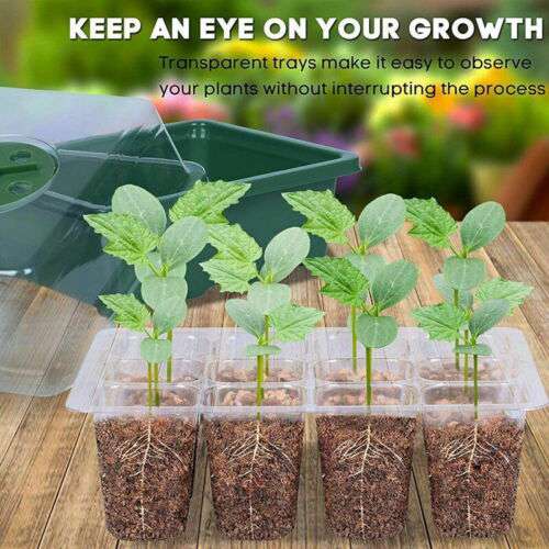 10-Pack 12-Cell Seed Starter Tray - Plant Propagation Kit for Indoor/Outdoor Gardening, Herbs, Vegetables & Flowers - Durable Nursery Grow Box for Seedlings & Plant Cloning