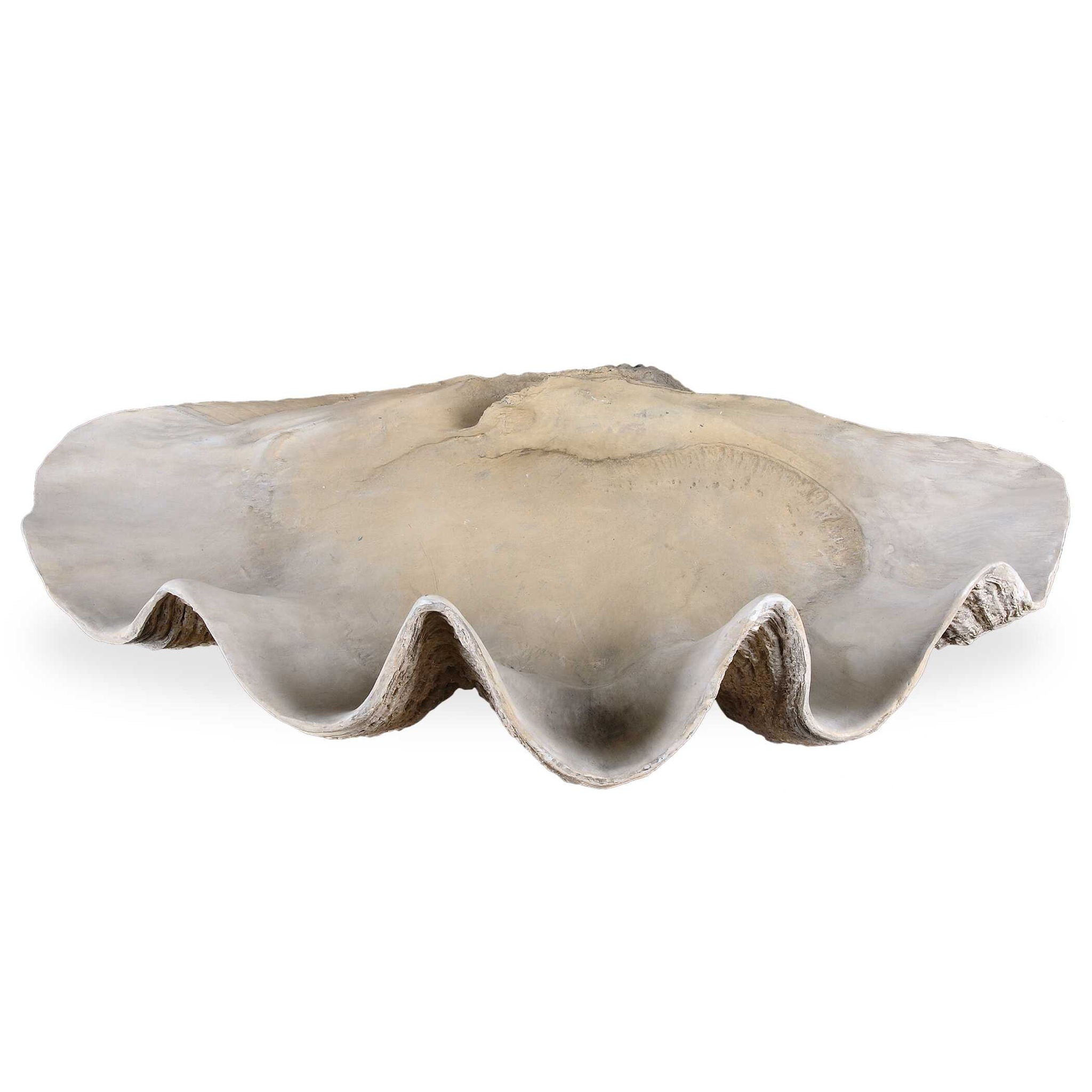 Clam Shell Bowl - Natural Beige Ceramic Serving Dish for Soups, Salads & Desserts | Perfect for Dining, Entertaining & Home Decor