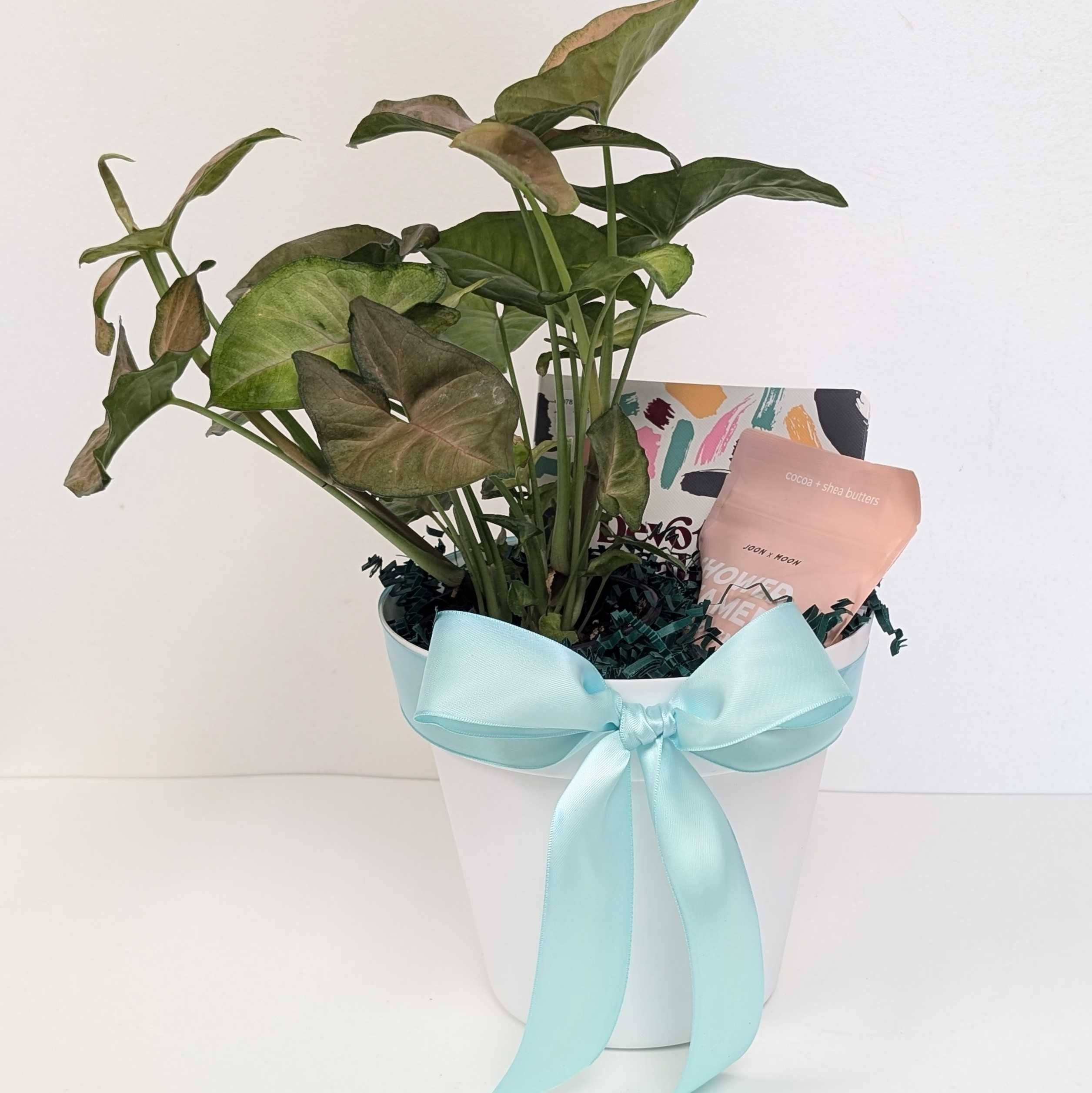 Tranquil Moments | Mother's Day Gift Collection - Thoughtful Presents for Mom's Birthday, Anniversary & Special Occasions | Perfect for Relaxation & Self-Care Moments