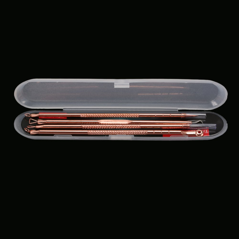 4Pcs Stainless Steel Acne Needle Set - Double-Ended Pimple & Blackhead Remover Tool for Facial Cleaning | Professional Comedone Extractor Kit for Skin Care & Blemish Treatment at Home or Salon Use