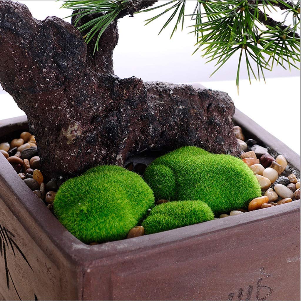 Realistic Artificial Bonsai Tree - Japanese Pine Fake Plant for Home & Office Decor, Desktop Display Potted Houseplant - Perfect for Living Room, Bedroom, Office Desk & Gift Giving