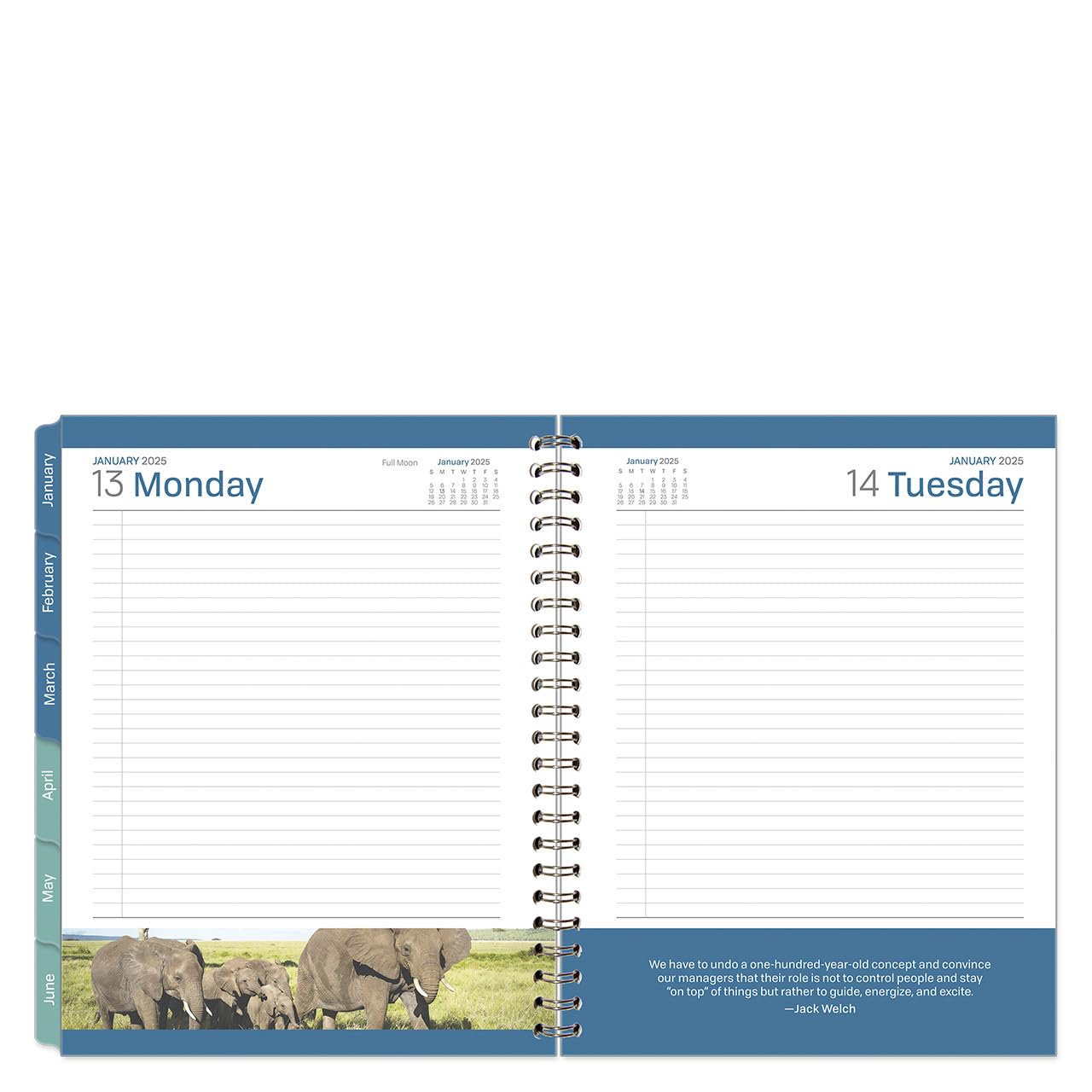 FranklinCovey 6-Month Leadership Planner - Wire-Bound Notebook (Monarch, January 2025 - June 2025) | Executive Organizer for Goal Setting, Time Management & Productivity | Perfect for Professionals, Students & Entrepreneurs